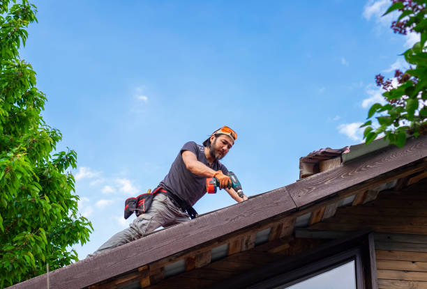 Best Skylight Installation and Repair  in East Honolulu, HI